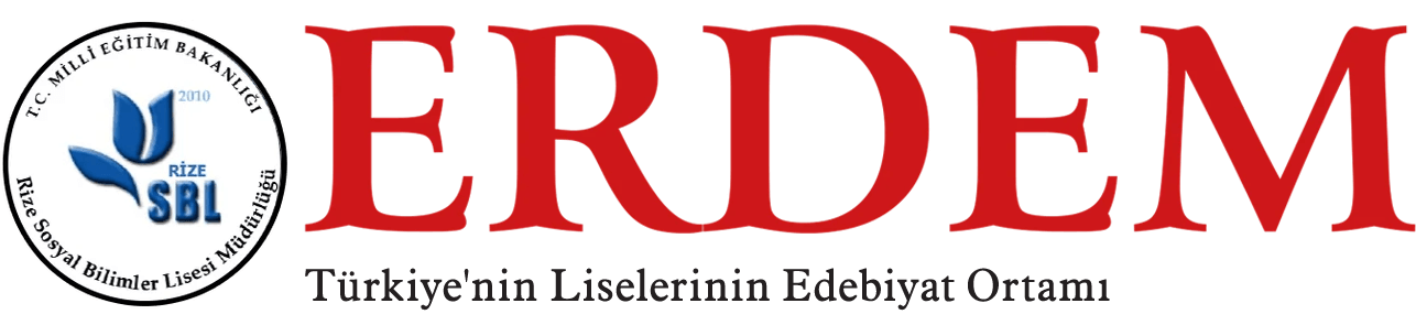 Erdem Edebiyat